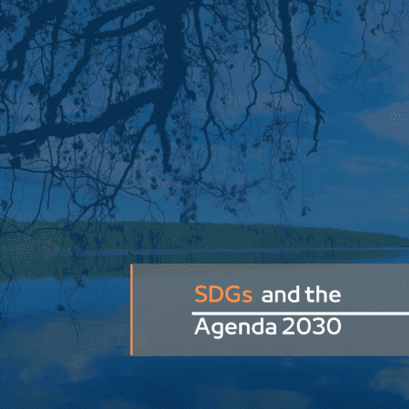 agenda 2030 and the SDGs